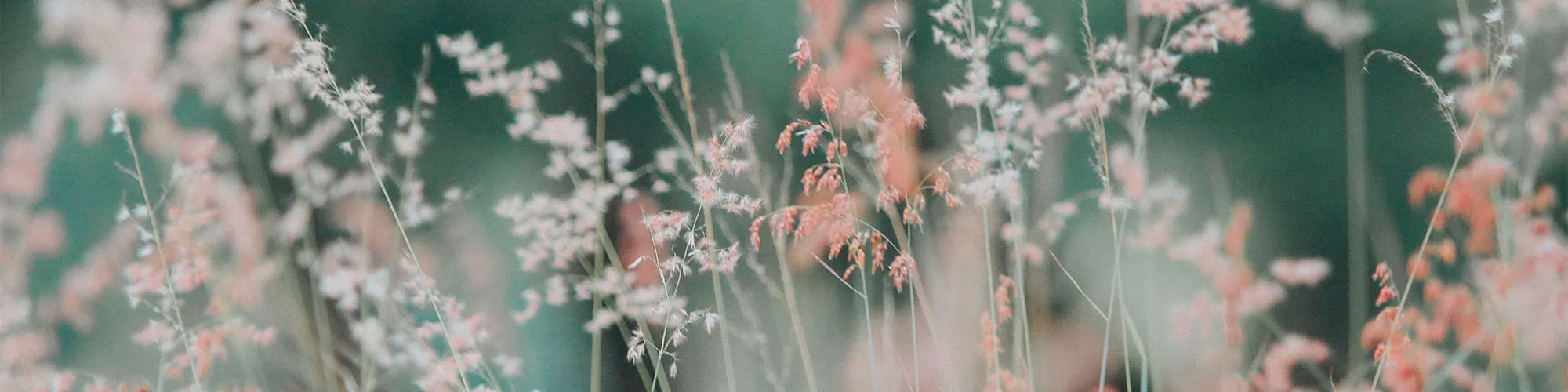 Banner for desktop