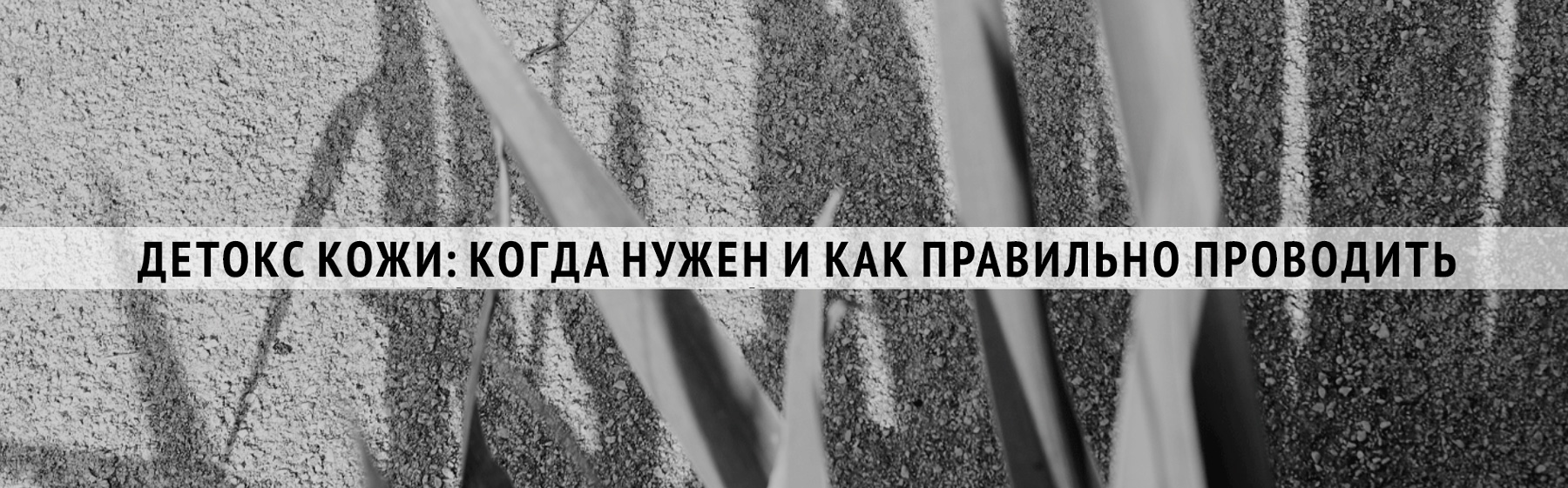 Banner for desktop