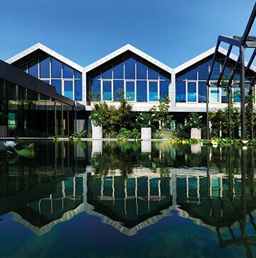 Beauty routine Skin Regimen