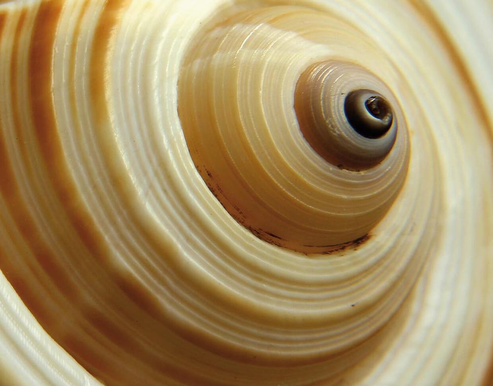 Creme viso per pelle giovane e luminosa